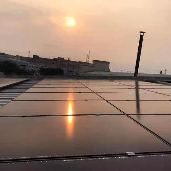Titan Black 太陽エネルギー 300W/5KW ソーラー パネル システム タイル屋根のソーラー タイル